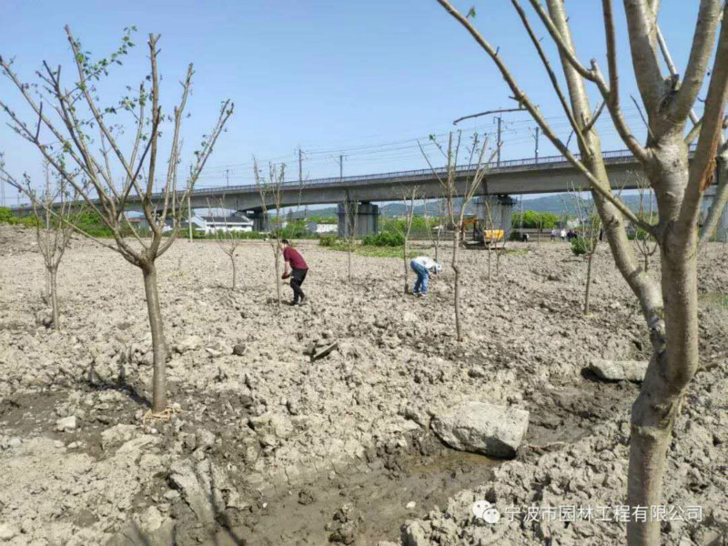 01_meitu_21.jpg 01_meitu_21.jpg