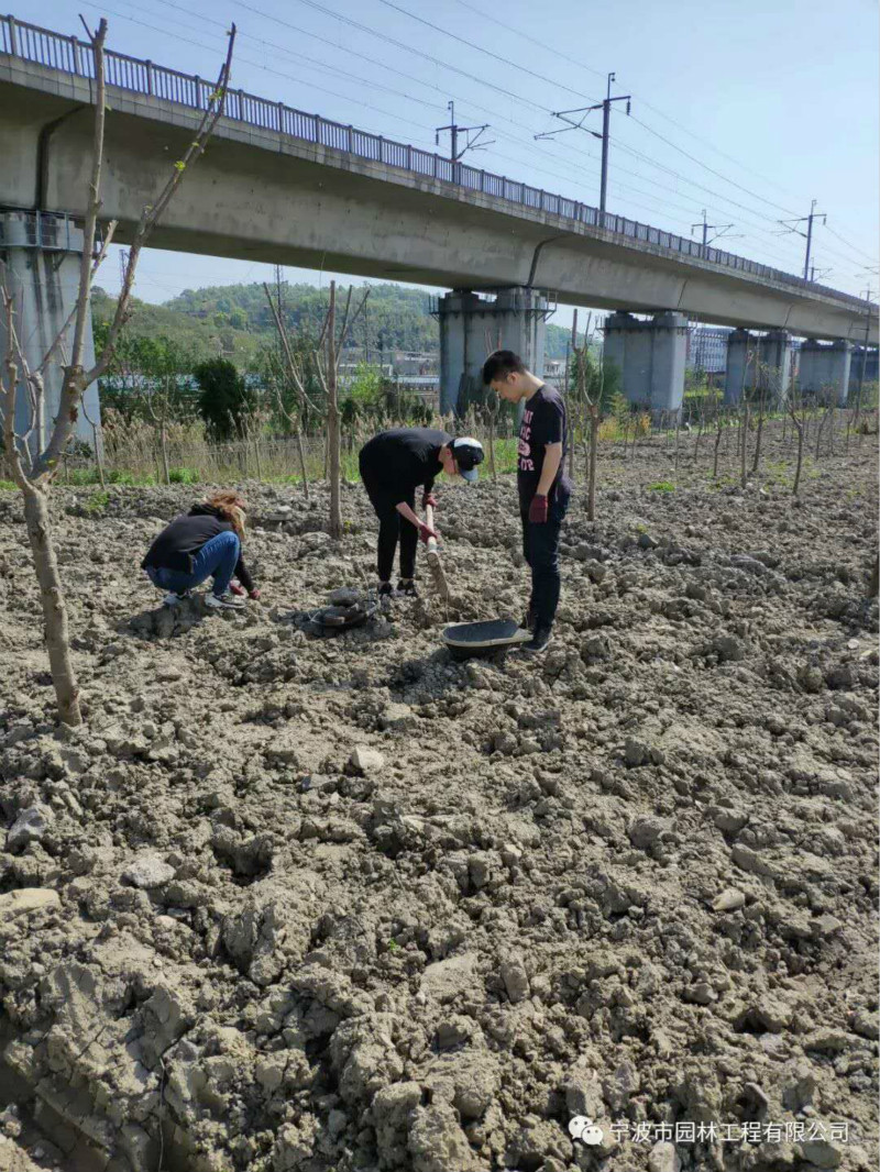 03_meitu_23.jpg 03_meitu_23.jpg