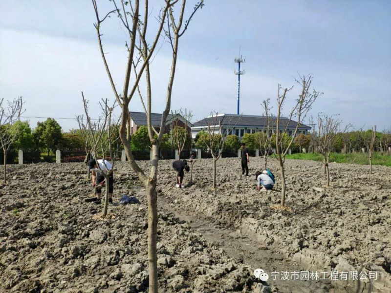 04_meitu_24.jpg 04_meitu_24.jpg