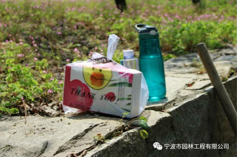 495483224_meitu_2.jpg 495483224_meitu_2.jpg