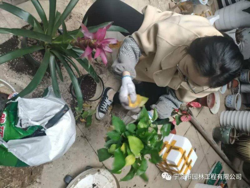 01_meitu_22.jpg 01_meitu_22.jpg