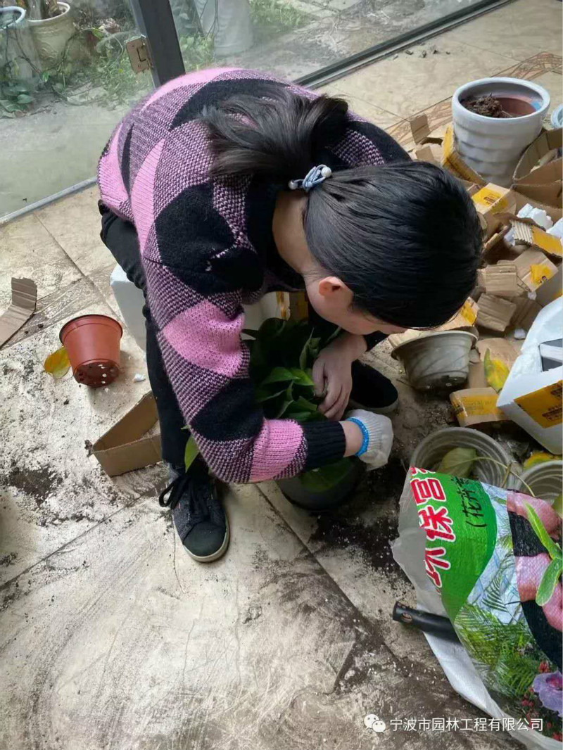 02_meitu_23.jpg 02_meitu_23.jpg