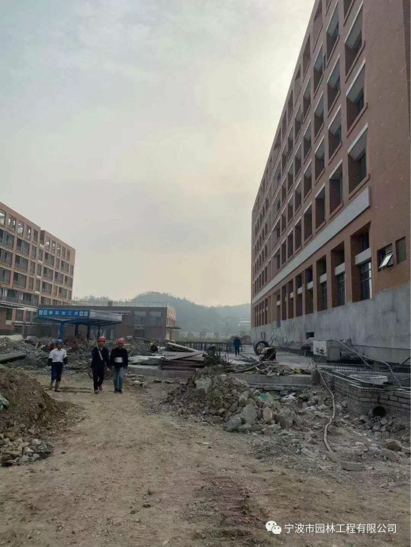 1004706046_meitu_2.jpg 1004706046_meitu_2.jpg