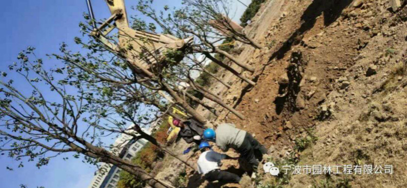 1700254527_meitu_3.jpg 1700254527_meitu_3.jpg