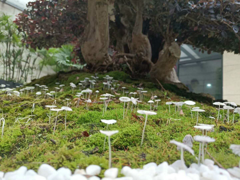 551437739_meitu_3.jpg 551437739_meitu_3.jpg