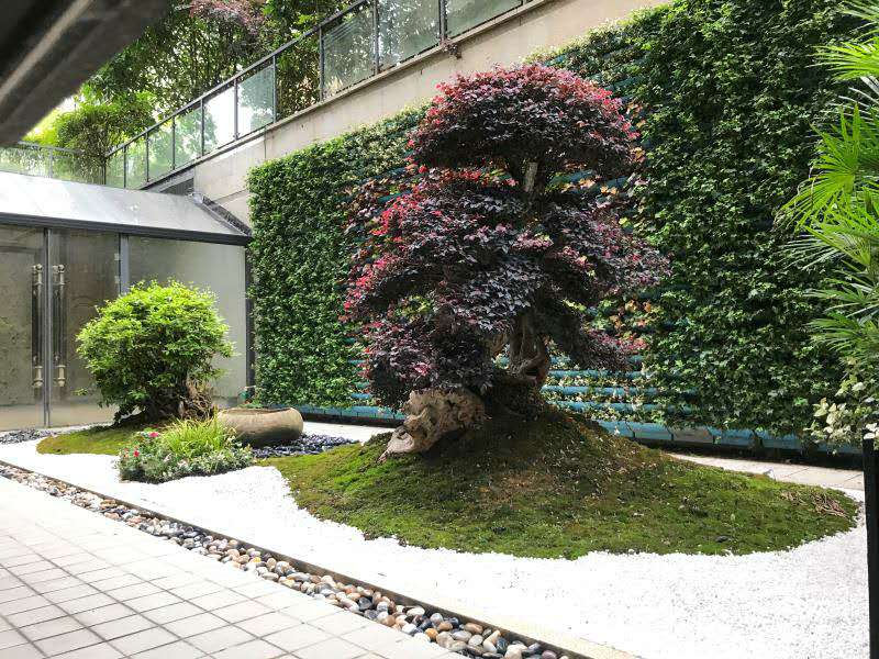 1963203163.jpg 1963203163.jpg