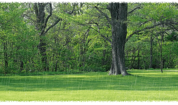 129265230_2_20180404062732238.jpg 129265230_2_20180404062732238.jpg