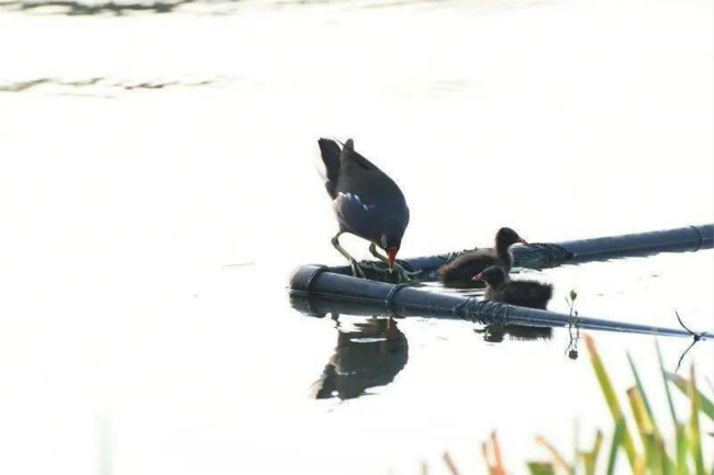 3_meitu_4.jpg 3_meitu_4.jpg