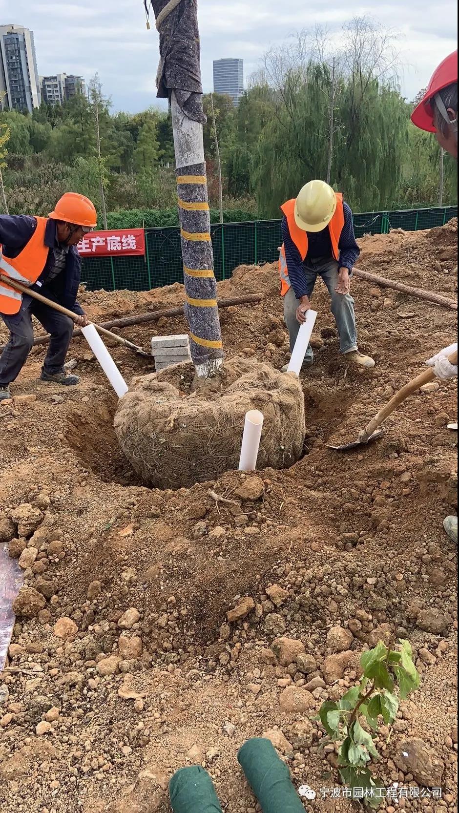 法國(guó)3.jpg 法國(guó)3.jpg