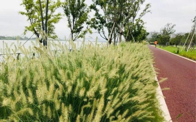 aa_meitu_1.jpg aa_meitu_1.jpg