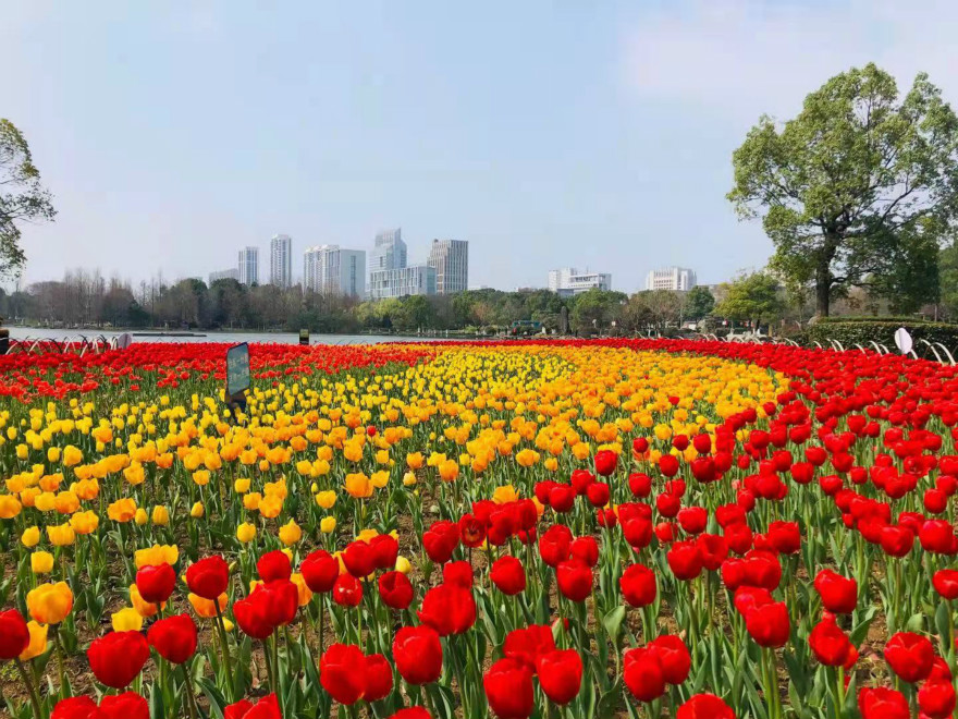 webwxgetmsgimg (1)_meitu_1.jpg webwxgetmsgimg (1)_meitu_1.jpg