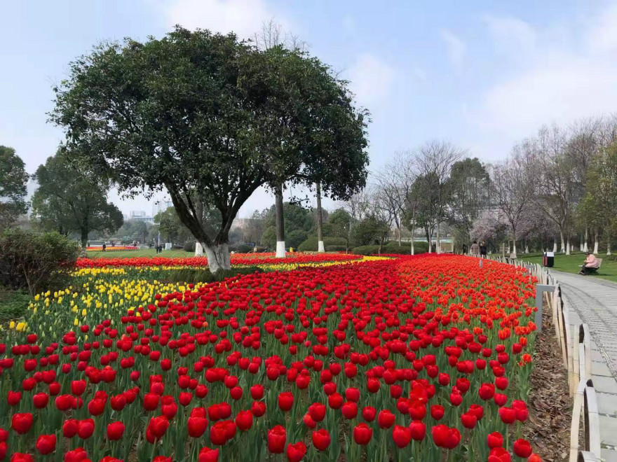 webwxgetmsgimg_meitu_4.jpg webwxgetmsgimg_meitu_4.jpg