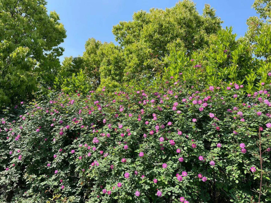 1893811061_meitu_3.jpg 1893811061_meitu_3.jpg