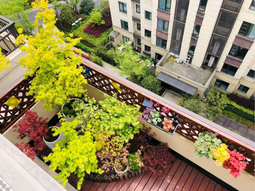 0026_meitu_2.jpg 0026_meitu_2.jpg