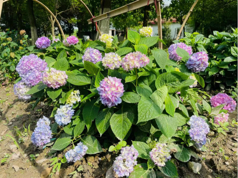 000002_meitu_2.jpg 000002_meitu_2.jpg