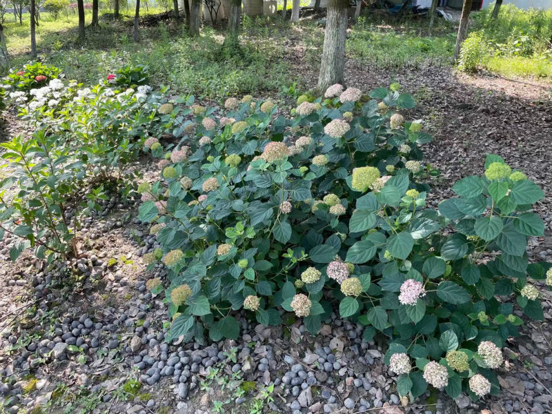 00004_meitu_6.jpg 00004_meitu_6.jpg