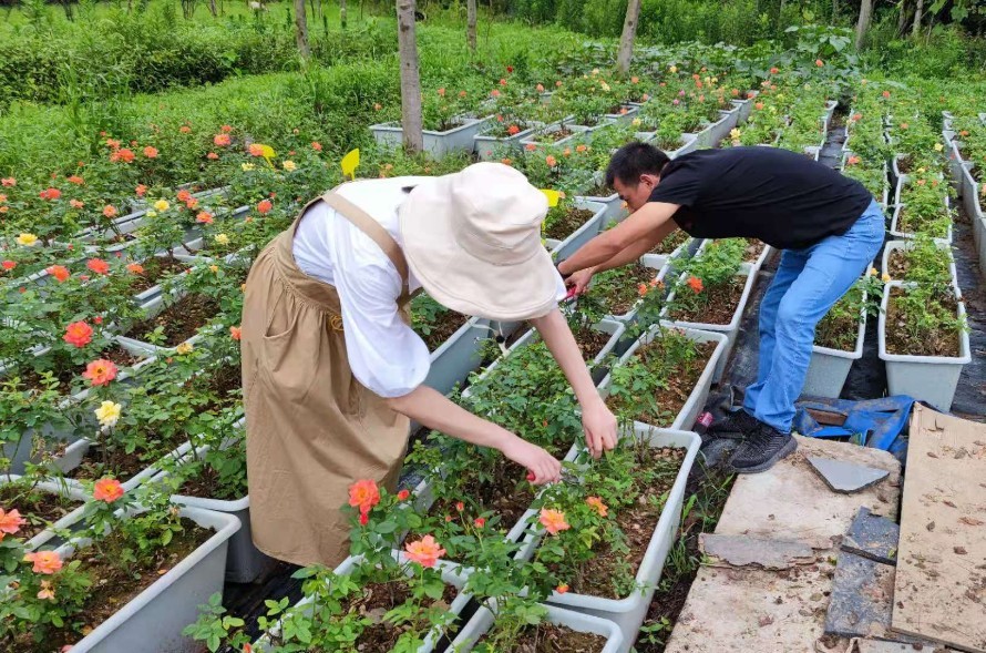 ae0f68a65f7266b03643611.jpg ae0f68a65f7266b03643611.jpg