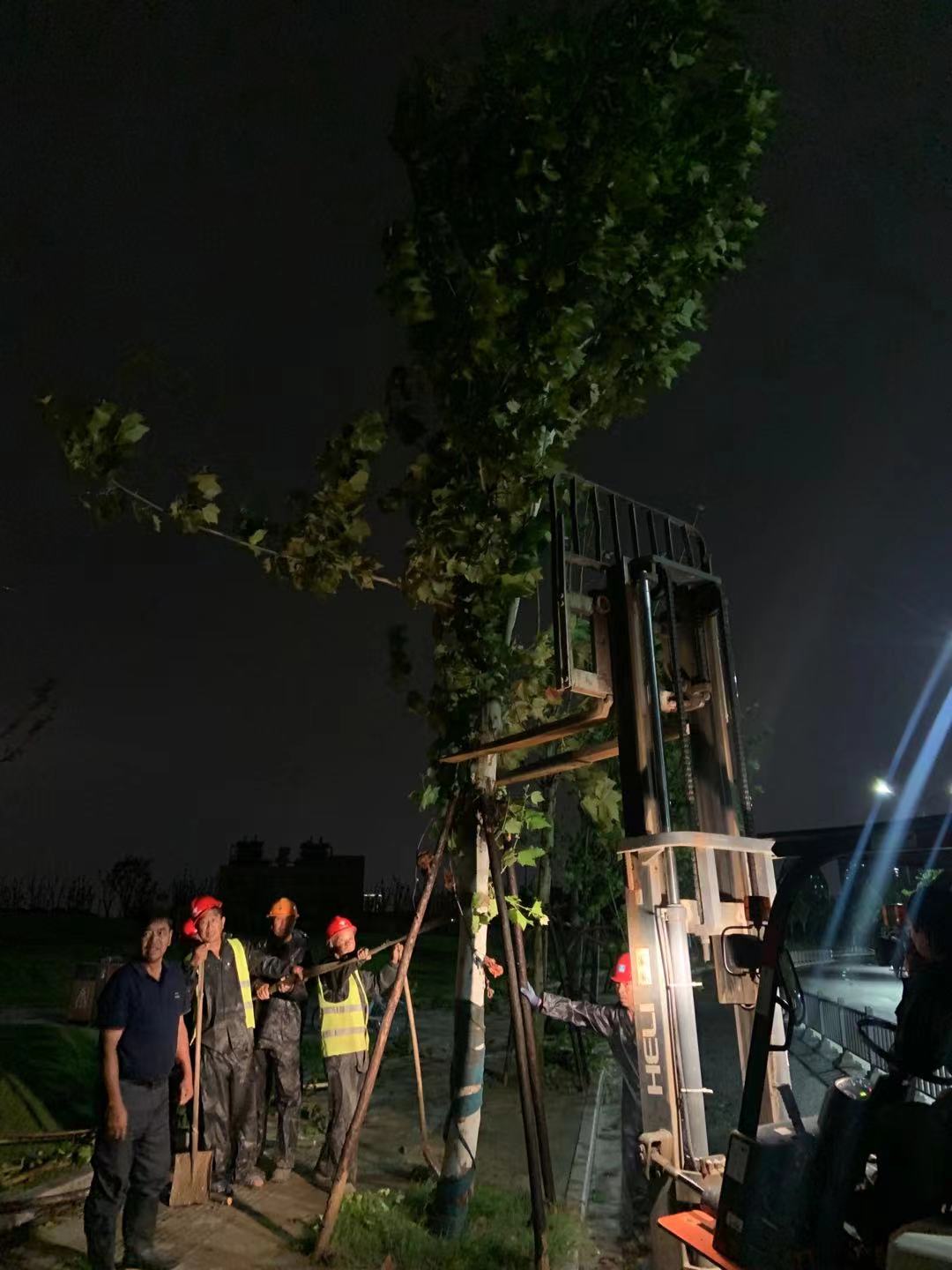 613a726641b9c93638c3011d20f3039.jpg 613a726641b9c93638c3011d20f3039.jpg